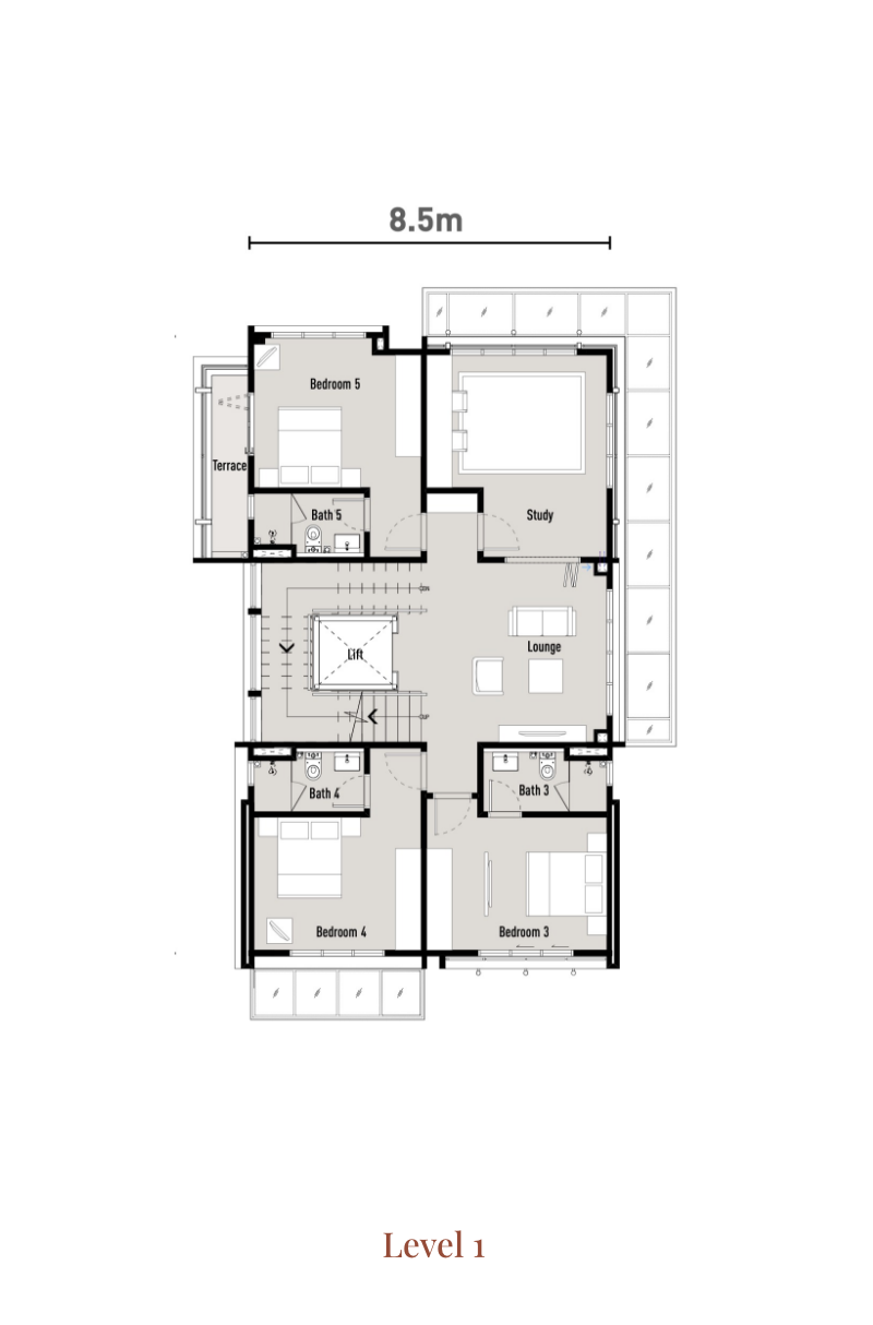 Type B2 (Level 1)
